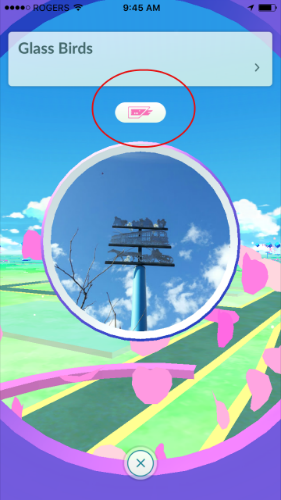 pokemon lure