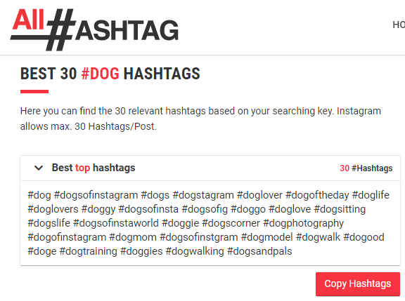 best dog hashtags