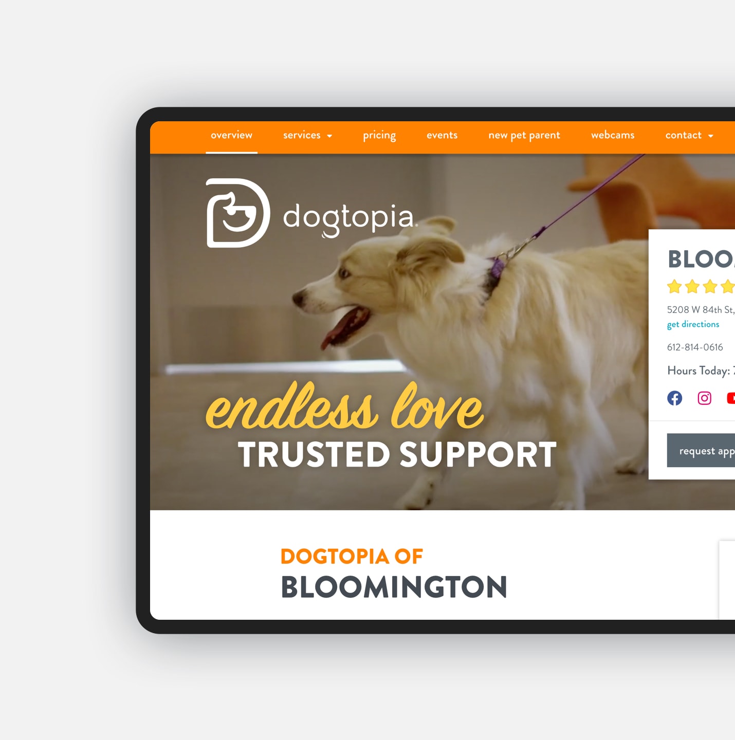 dogtopia website